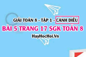 Giải bài 5 trang 17 Toán 8 Tập 1 SGK Cánh Diều